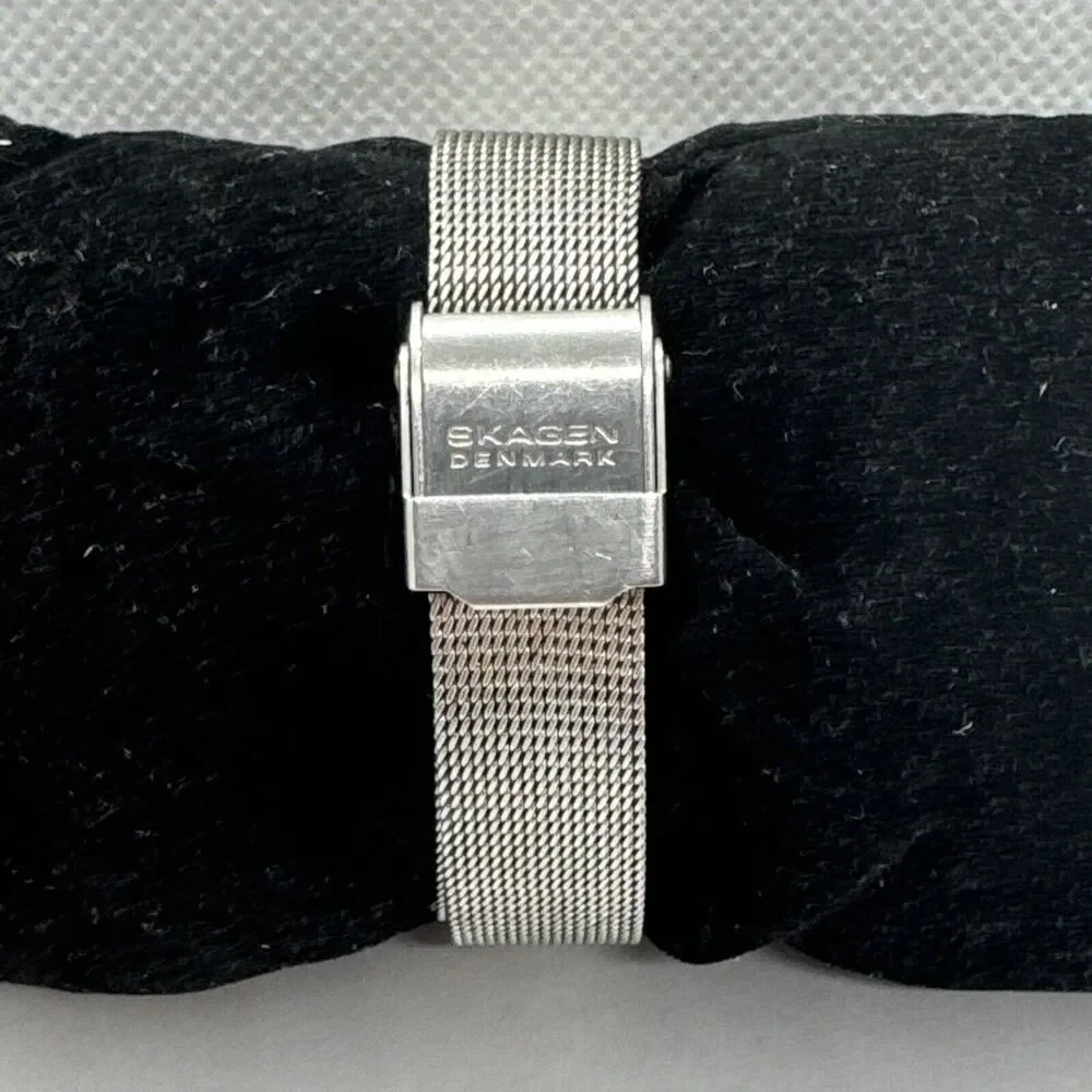 Skagen 39SSS Women's Silver Stainless Steel Mesh Analog Dial Wrist Watch JNA571